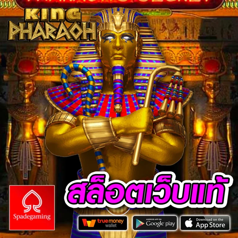 สล็อต MY777WIN